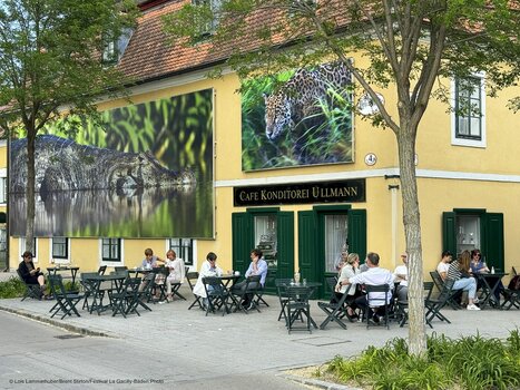 Baden-6.jpg