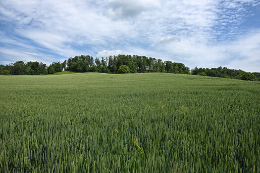 DSC_4012.f.jpg