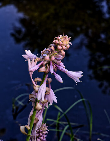 750_9596_DxO-Bearbeitet.jpg