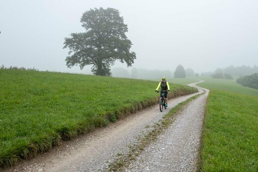 Im Nebel bei Armeleiten, südl. von Peißenberg .jpg
