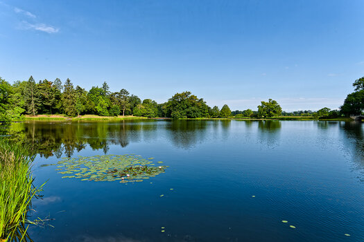 750_9559_DxO.jpg
