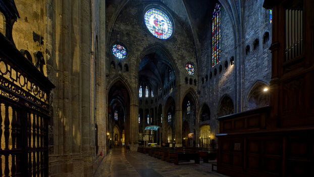 DSC_8659_DxO_DxO.jpg