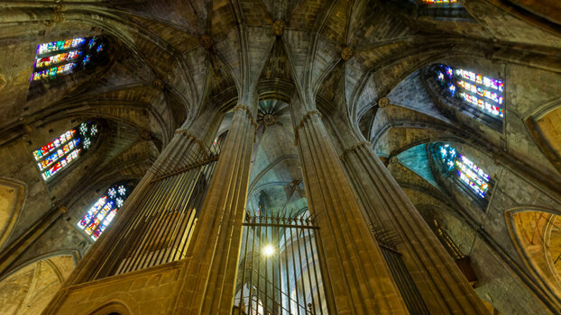 DSC_8668_DxO_DxO.jpg