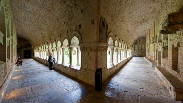 DSC_8684_DxO_DxO.jpg