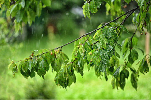 DSC_4051.f.jpg