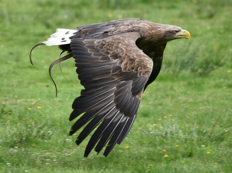 IMG_3823.jpeg