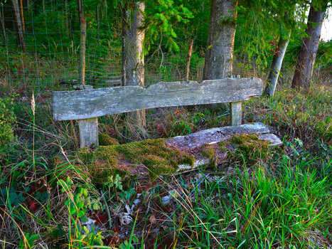 D85_0136.JPG