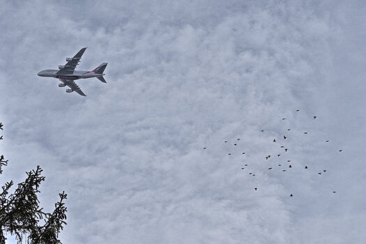 DSC_1855.2.f.jpg