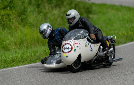 comp__DSC8083.jpg