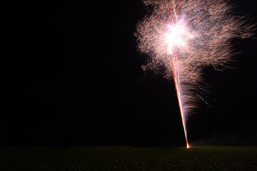 DSC_0049.jpg