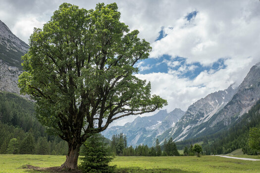 20240624-143143 Angeralm Karwendel.jpg