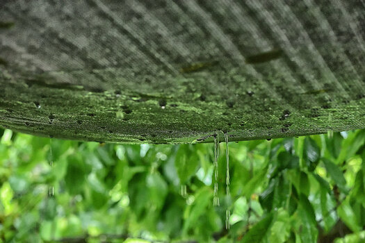 DSC_4055.f.jpg