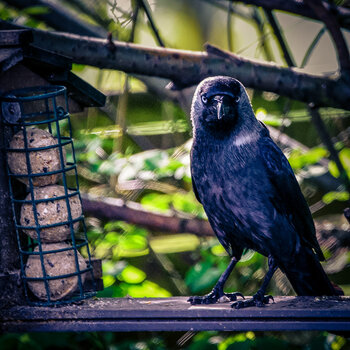 _DSC5639.jpg