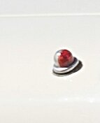ar-487-01a.jpg