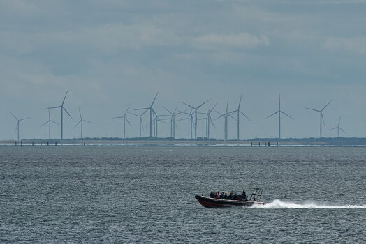 DFX_9390.jpg