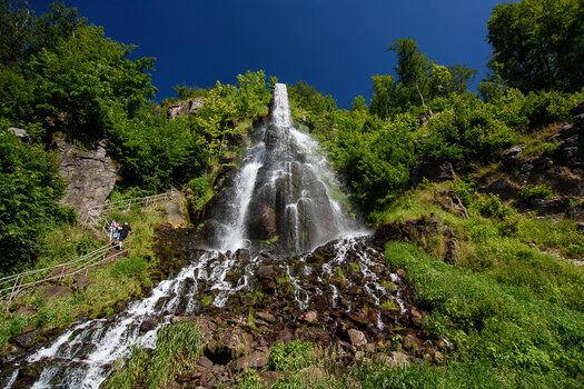 750_9777.jpg