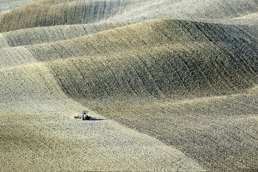 00520091016_090519__DSC6074Toskana.jpg