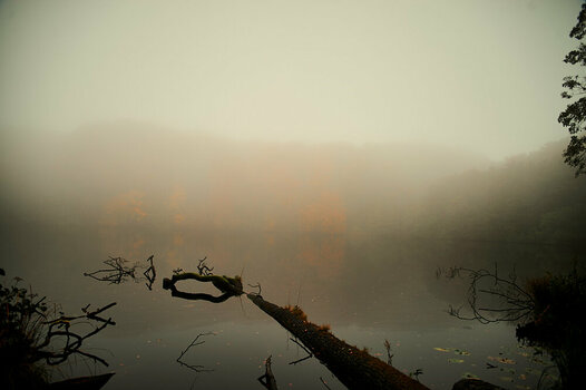 DSC_0681.jpg