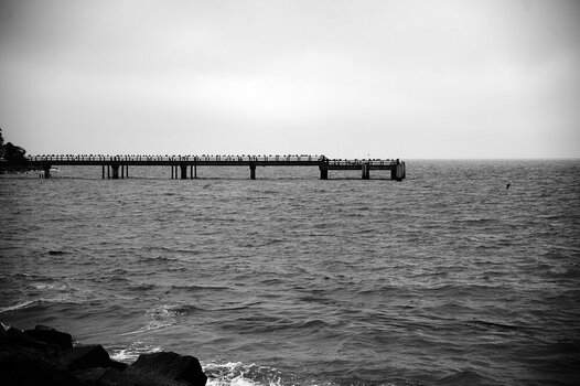 DSC_0600.jpg