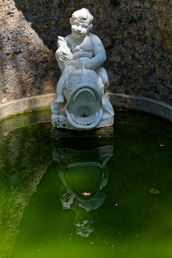 750_0011_DxO.jpg