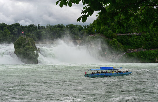 DSC_4428.f.jpg