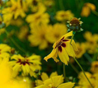 750_9741_DxO.jpg