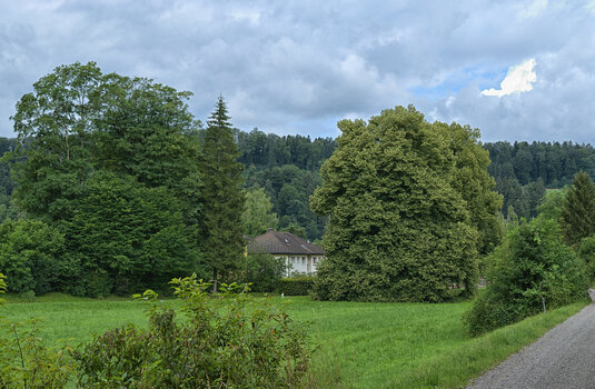 DSC_5526.f.jpg