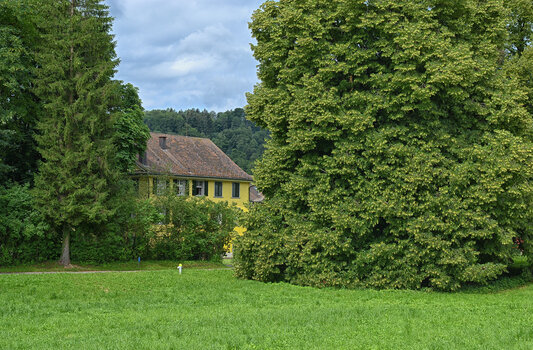 DSC_5529.f.jpg