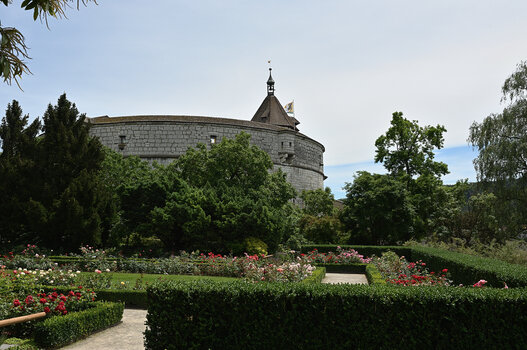 DSC_4464.f.jpg