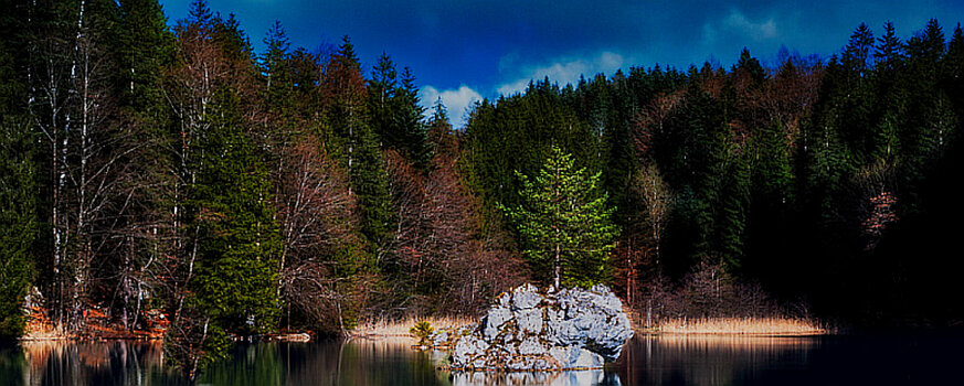 Berglst.See-202403-03.jpg