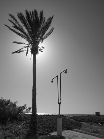 kreta-2024-0425.jpg