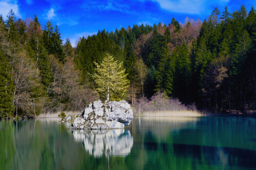 Berglsteinersee-04.jpg