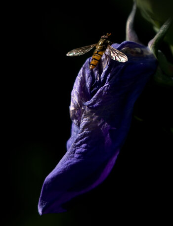 _IMG8349-01-01.jpg