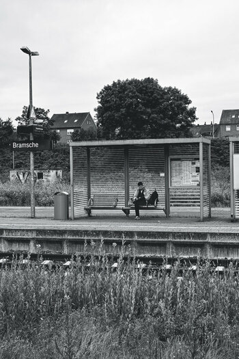 Quakenbrück 03. Juli 2024-12.jpg
