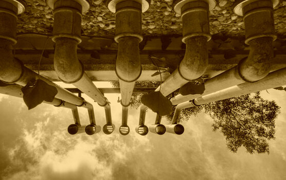 Windpipes