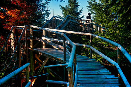 2024_07_20__2015_10_27_D300s_DSC1777_LN.jpg