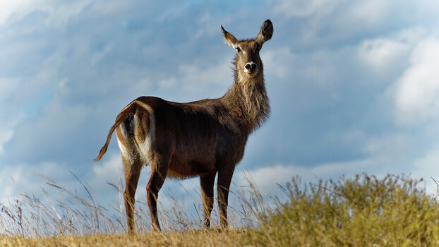 DSC_3349_DxO.jpg