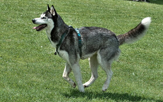 DFX_8502.jpg