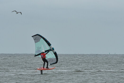 DFX_8671.jpg