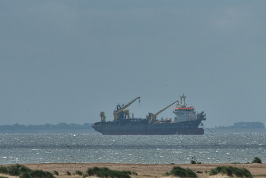 DFX_8736.jpg