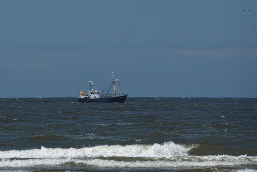 DFX_9076.jpg