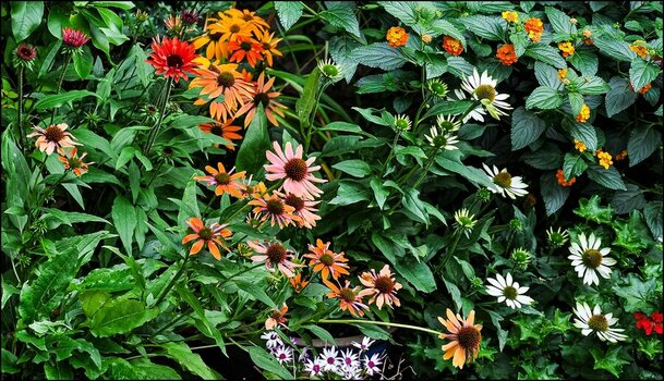 comp_Gartenecke.jpg