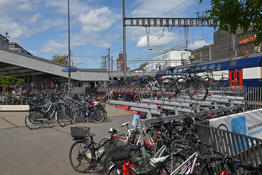 DSC_0039.f.jpg