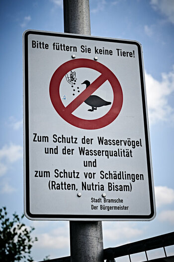 Leer 13.jpg