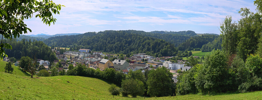 Neues Panorama 2.f.jpg