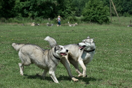 DFX_8510.jpg