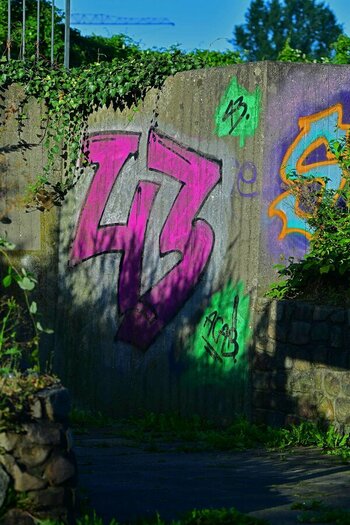 DSC_8528.jpg