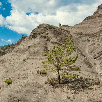 2024_07_30__2014_05_15_D300S_DSC7572_LN.jpg