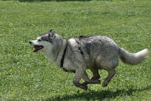 DFX_8516.jpg