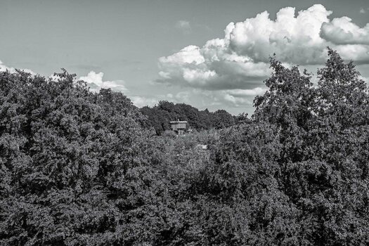 Alfsee-28. Juli 2024-8.jpg